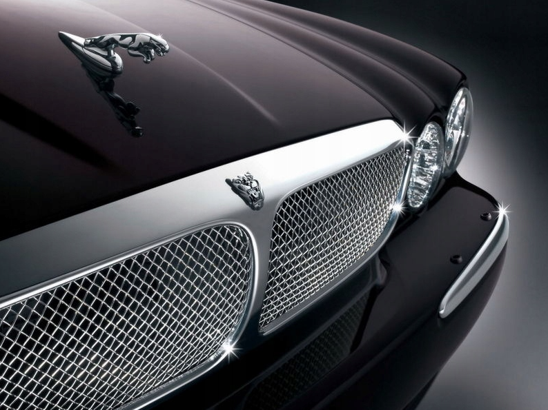 1 pcs Silver Jaguar Logo Hood Emblem - Image 4